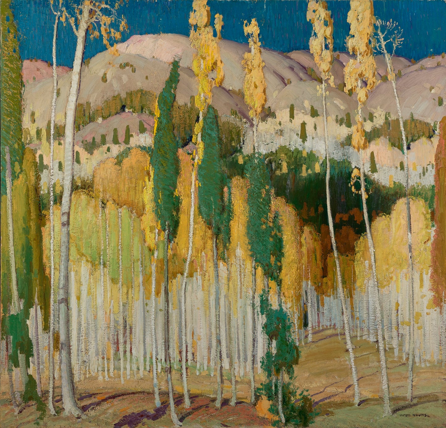 Aspen Trees at Twining