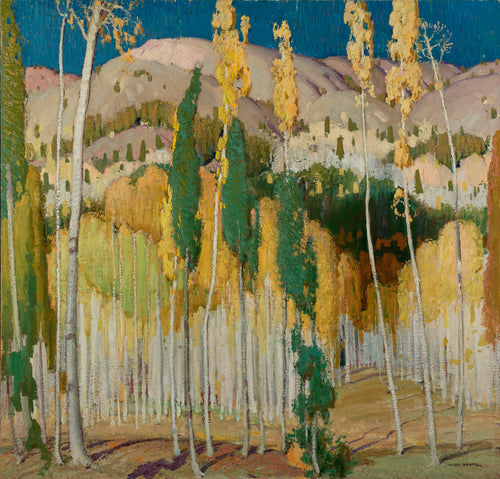 Aspen Trees at Twining