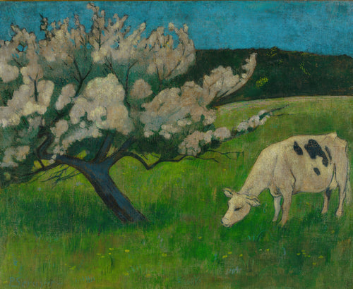 White Cow