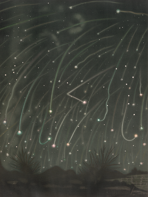 The November Meteors (1882)