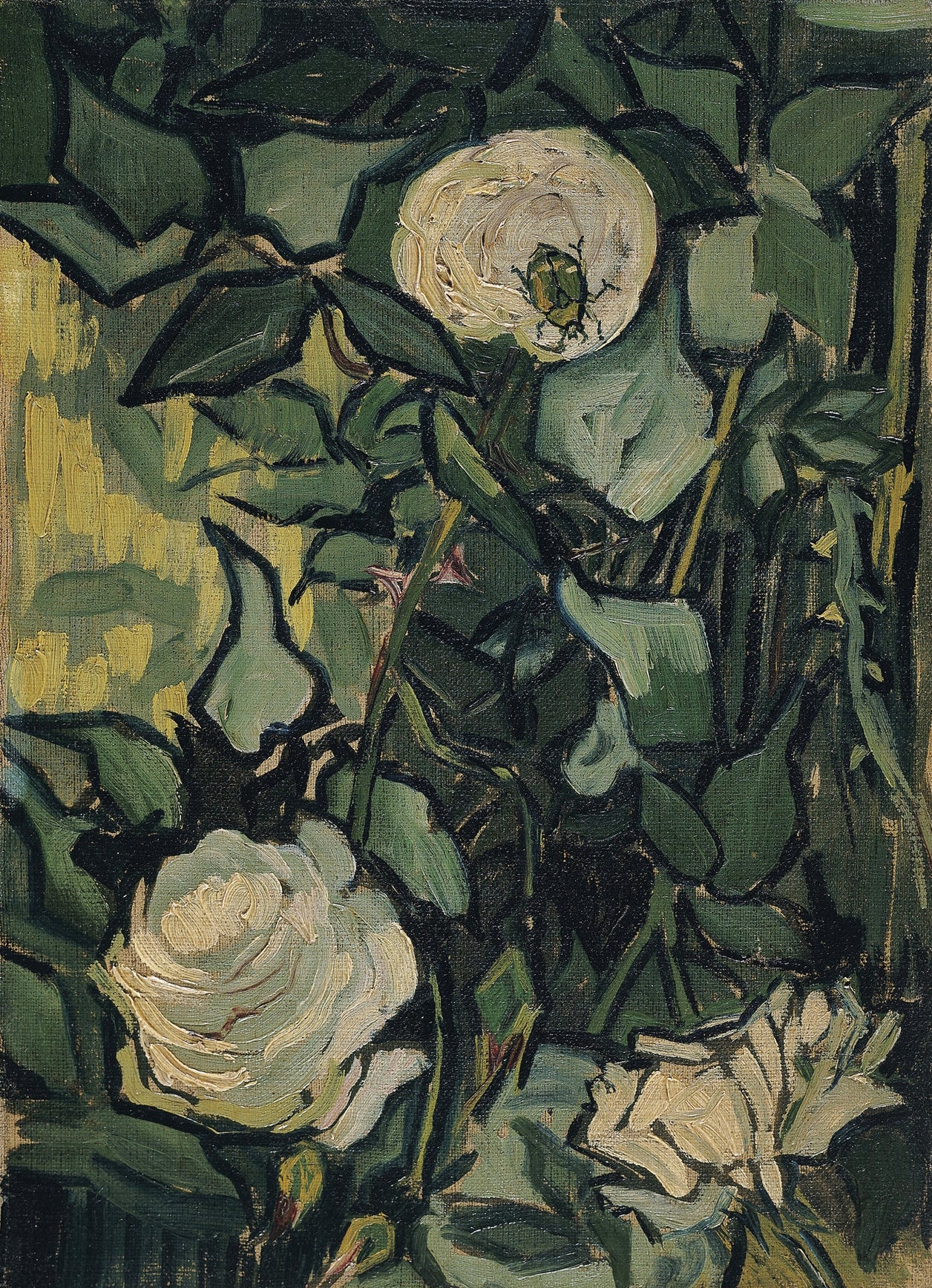 Roses